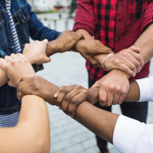 Nidhi Company (Premium Plan)