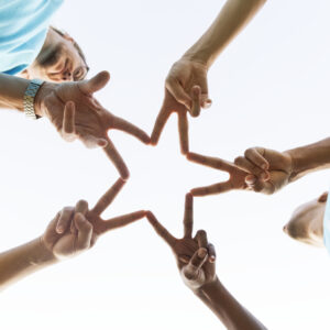 Nidhi Company (Premium Plan)